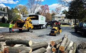 Best Lawn Renovation and Restoration  in Mountain Road, VA