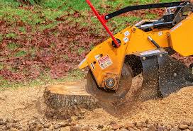Best Leaf Removal  in Mountain Road, VA